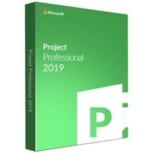 Project Pro 2019 Win English