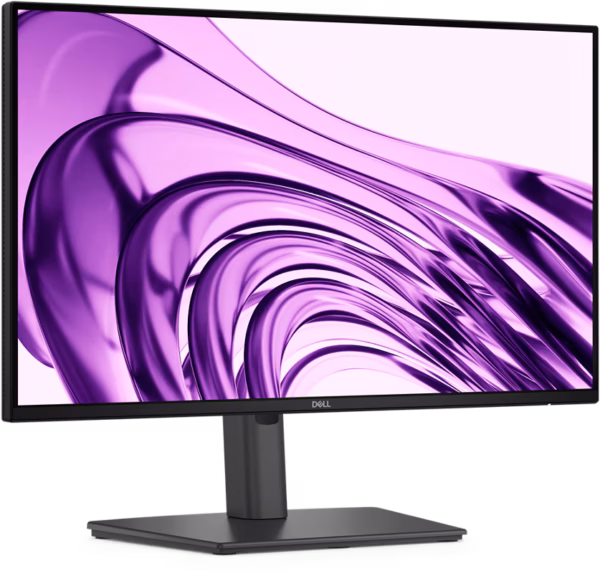 Dell 22 Monitor - P2226H, 54.6cm (21.5")